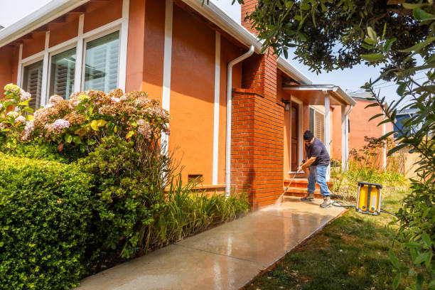 Best Pressure Washing Patio  in Maryville, MO